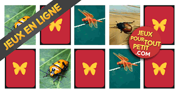 Jeux de mémoire gratuits pour enfants: Insectes. Jue éducatif en ligne pour maternelles
