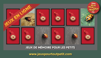 Les enfants jouent, accompagnés par les mamans et les papás. Jeux de mémoire en ligne pour enfants: Les Insectes!